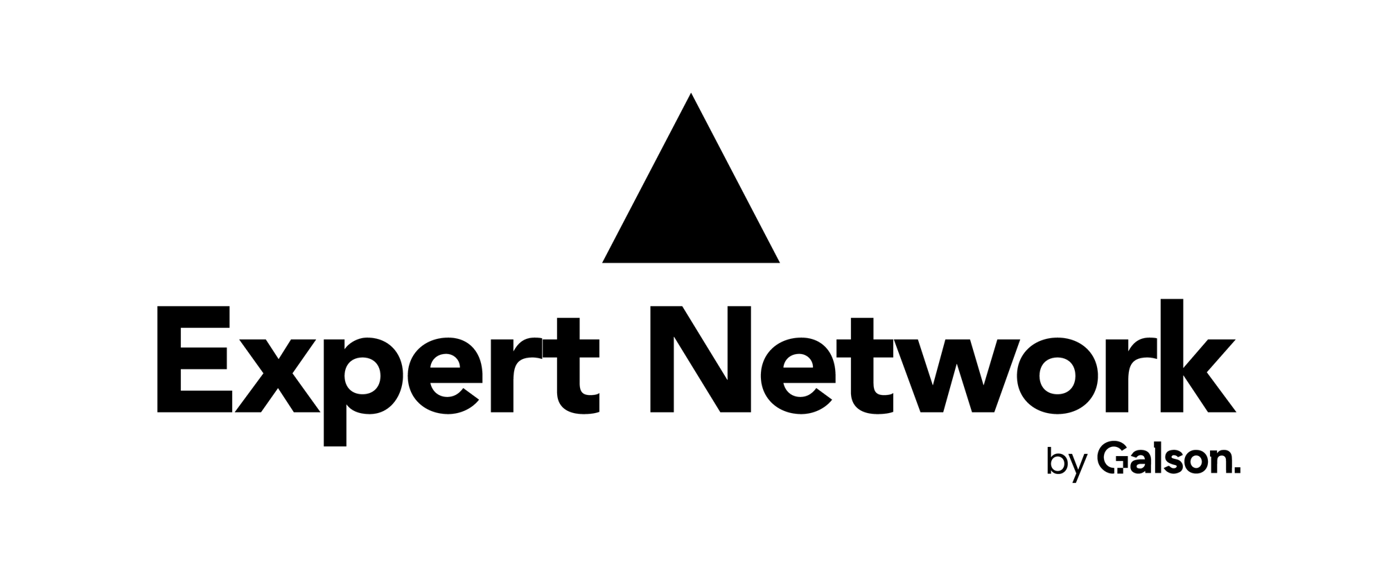 logos_Expert Network black
